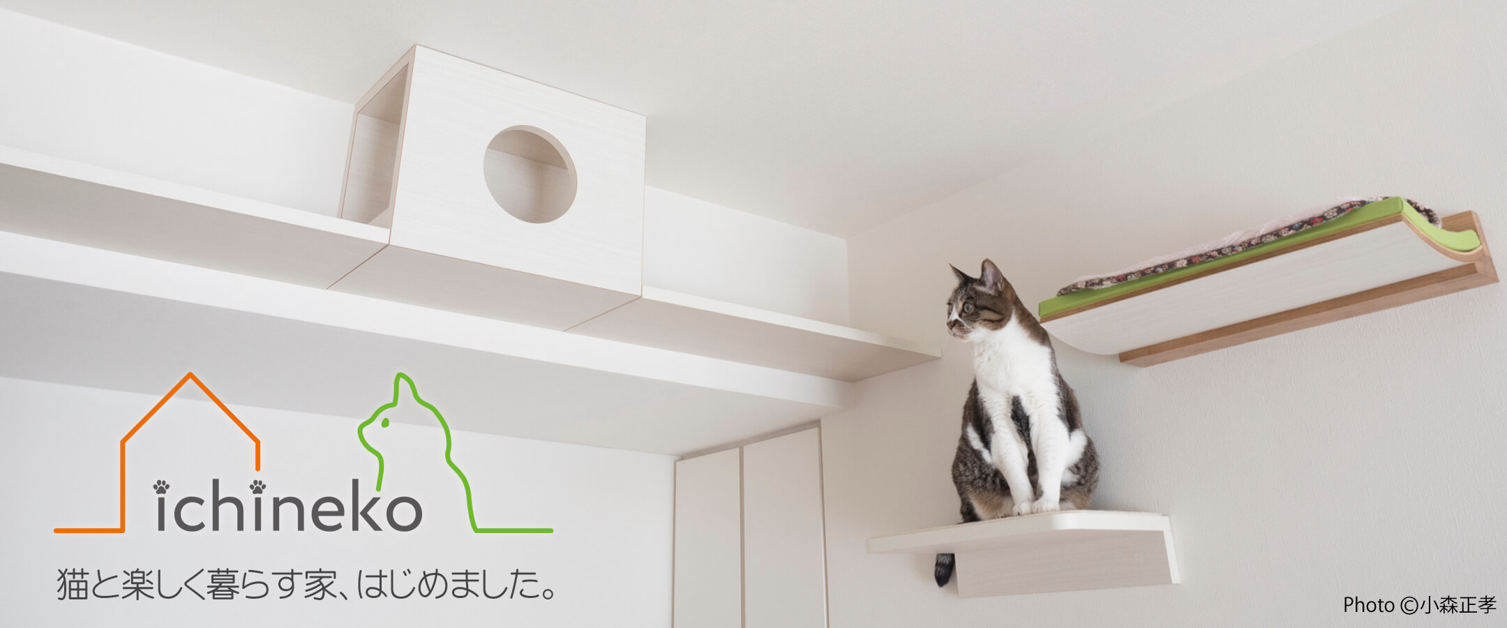 猫と暮らす家 設計 建築 リフォーム 株式会社 第一住宅